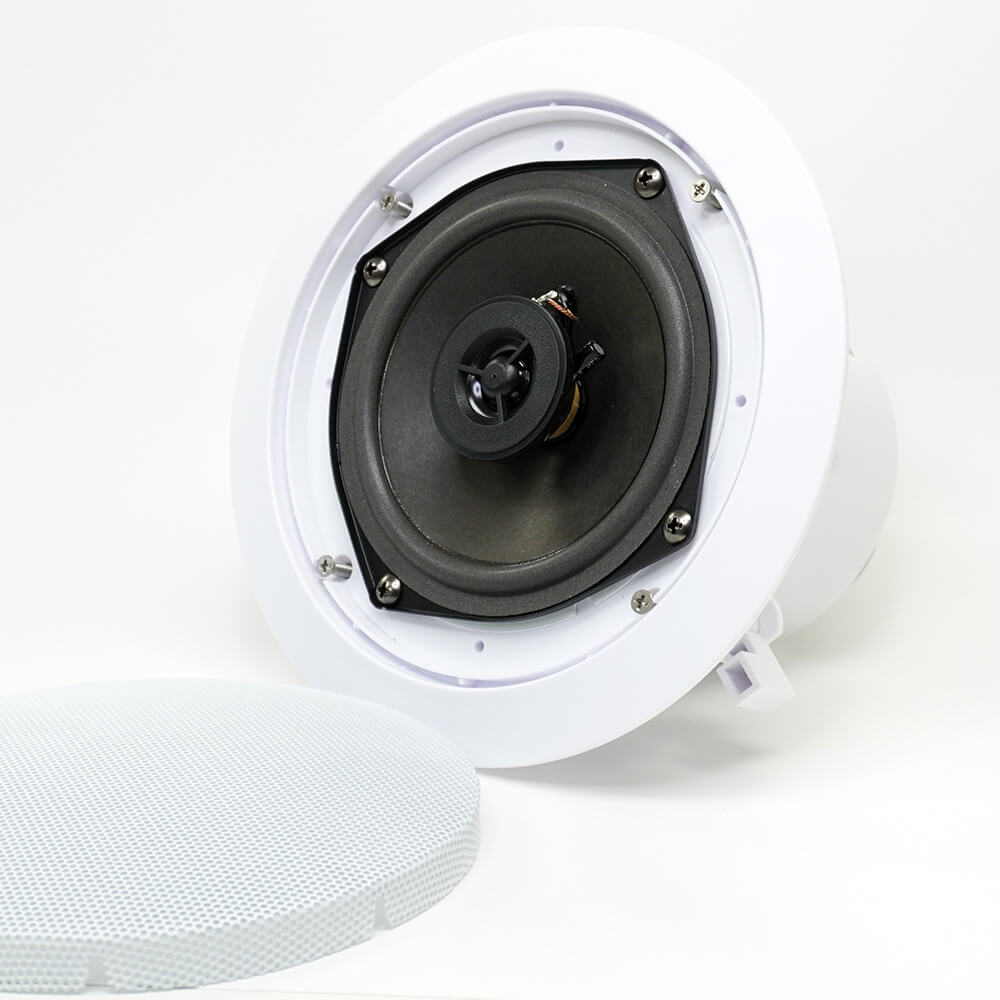 in ceiling commercial speaker